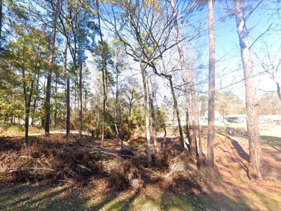0 Black Bear Drive