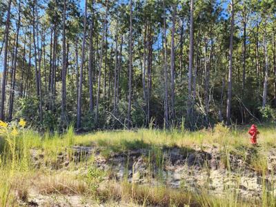 145 Rayburn Reserve Drive