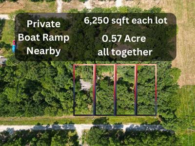 275 Mosquito Road