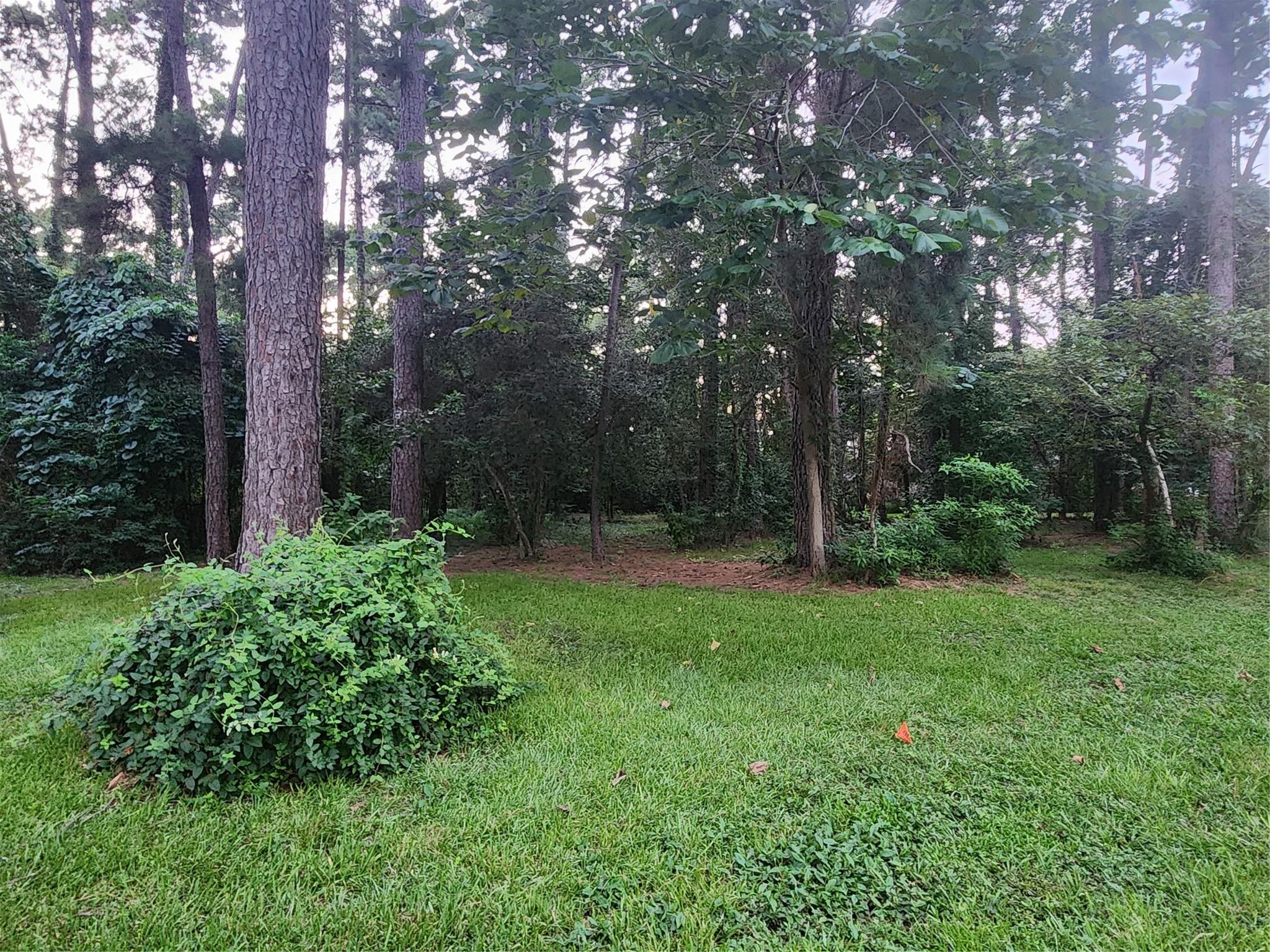 Image 3: View from front toward the back of the lot.   ~77