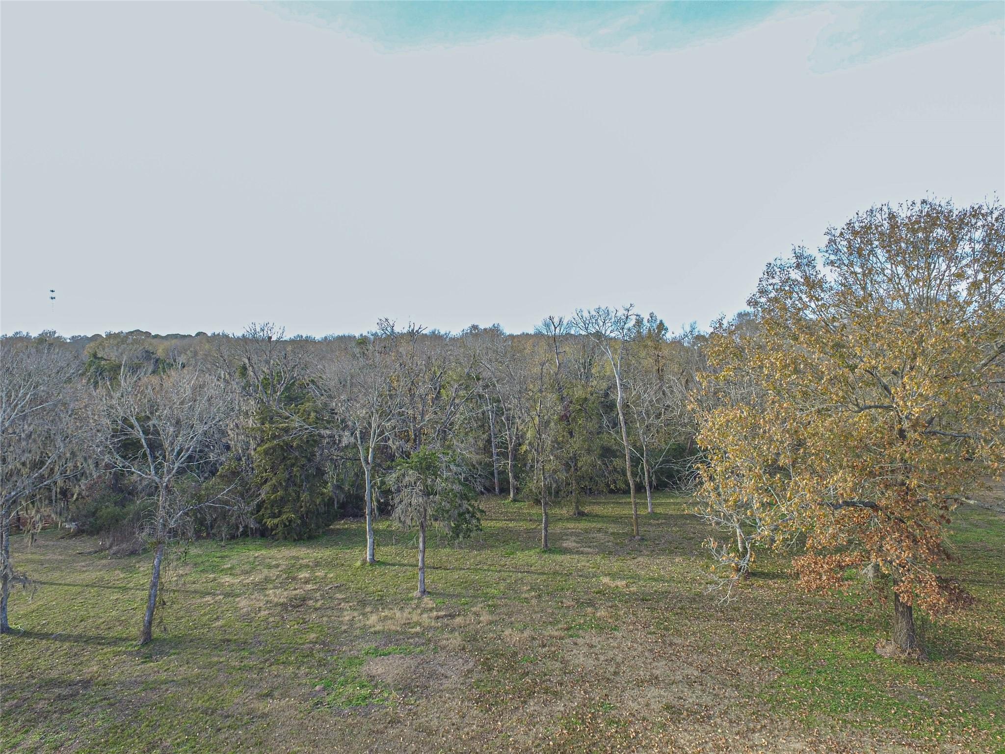 Image 4: Wide open well drained lot , This Arial view of lo