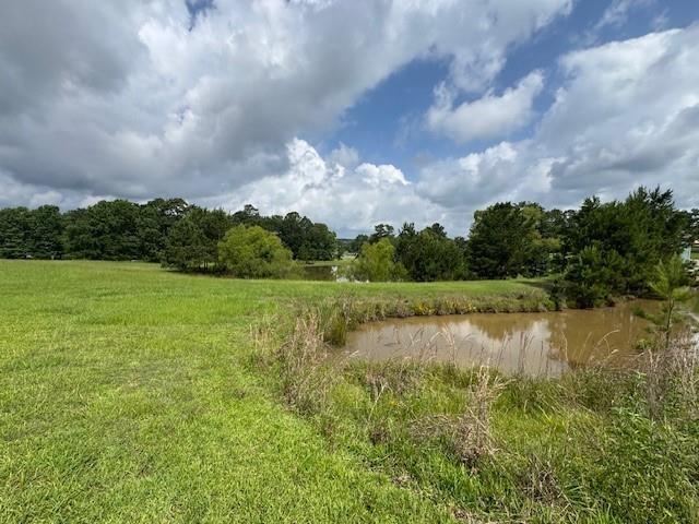 Image 1: FISHING POND BEHIND LOT