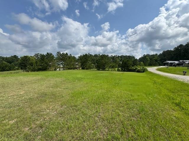 Image 3: BUILD YOUR DREAM HOME TODAY OR YOUR WEEKEND RETREA