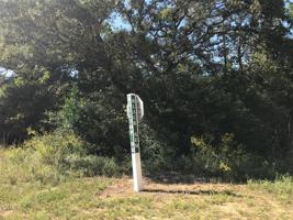 86 Blackgum Drive