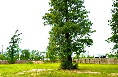 TBD Lot 15 Pearl Court