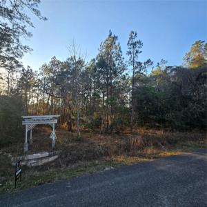 20135 Belleau Wood Drive