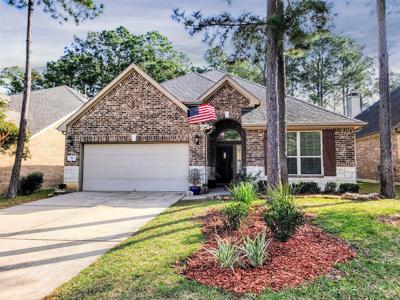 54 N Whistling Swan Place