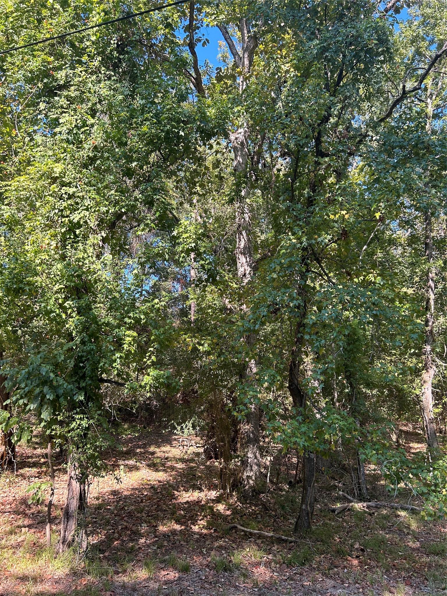 Image 1: 1.5+ acre tract