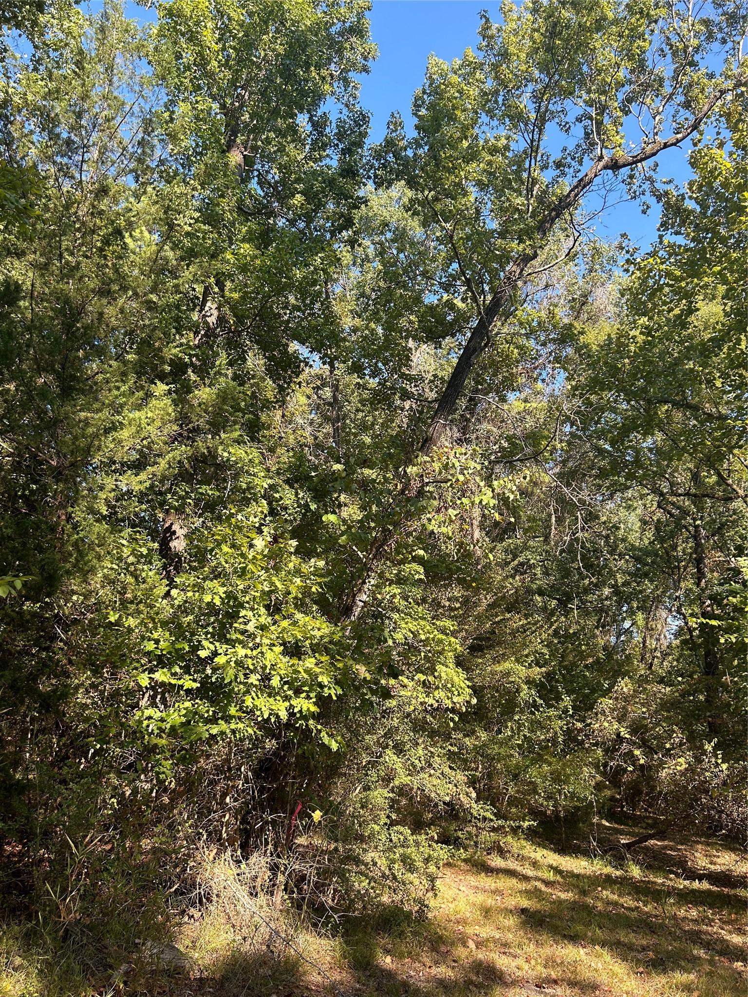 Image 2: Seasonal water views