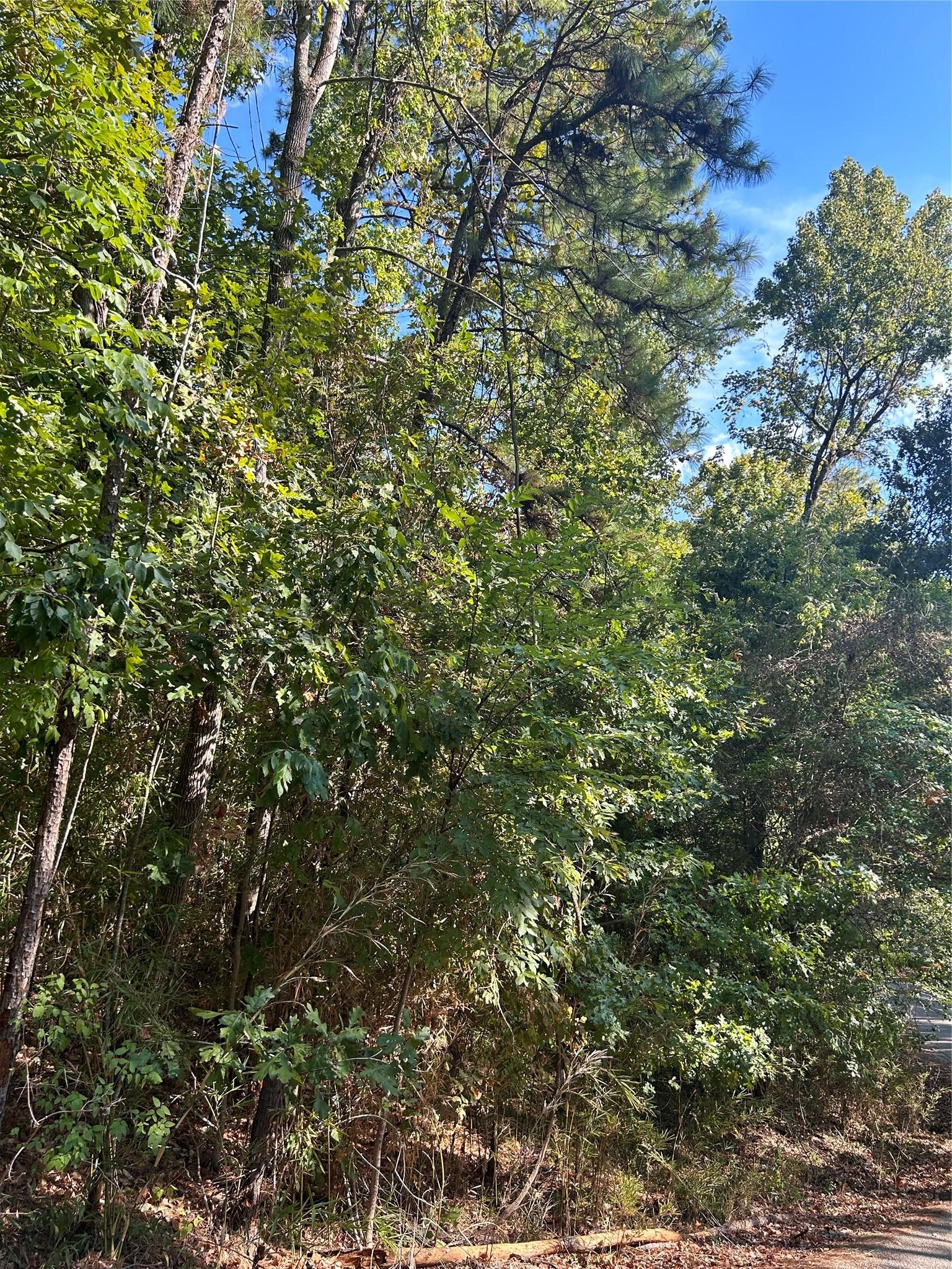 Image 3: Lots may not be subdivided