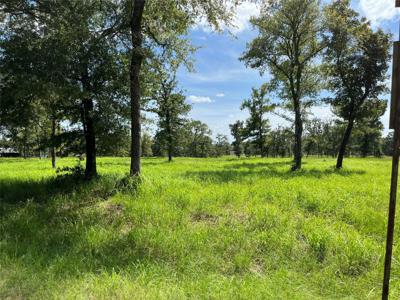 00 Hickory Loop