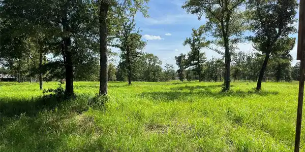 00 Hickory Loop