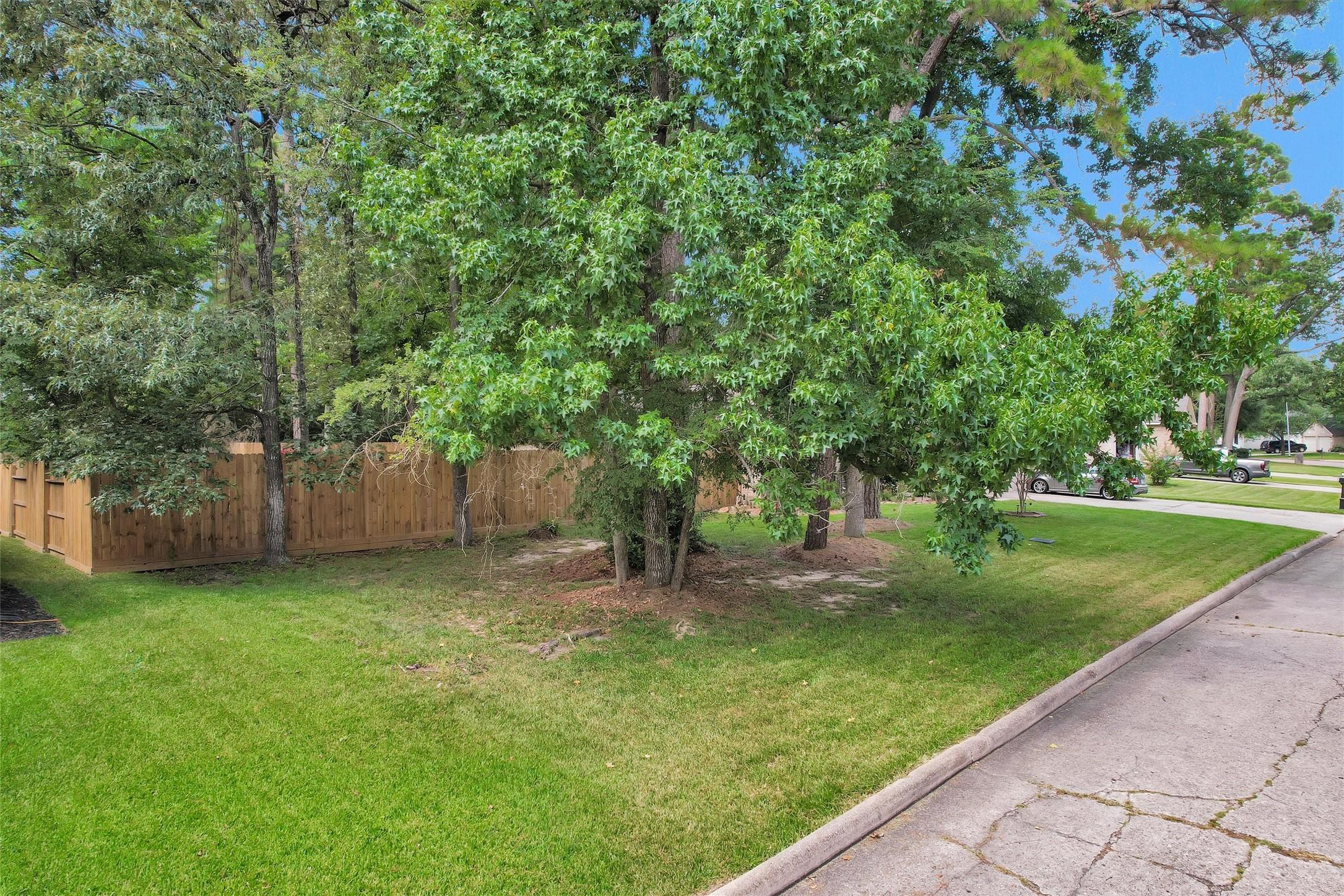 Image 3: 60' wide, with great trees to enhance your build's