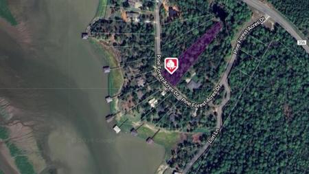 400 Pine Forest Acres