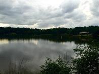 50 Lakeland Lot 12, 13, 14