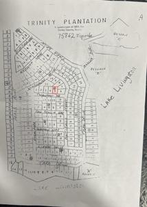 Lot 5 Thornton Street
