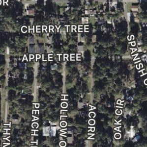 0 Apple Tree