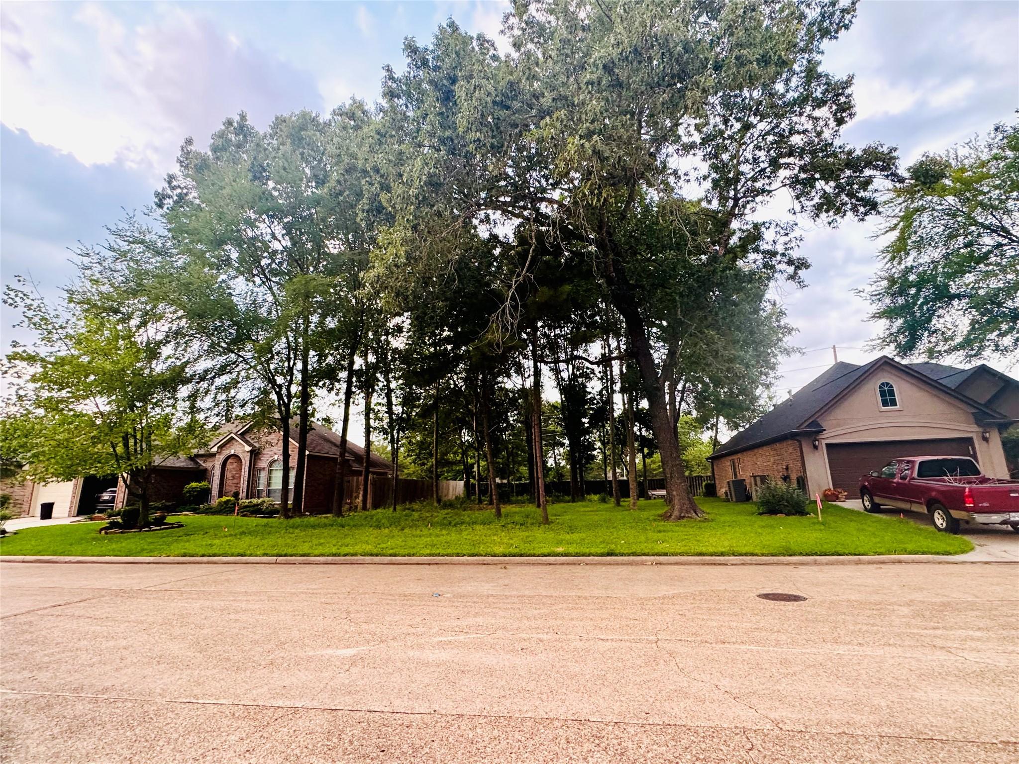 Image 3: Another view of the lot