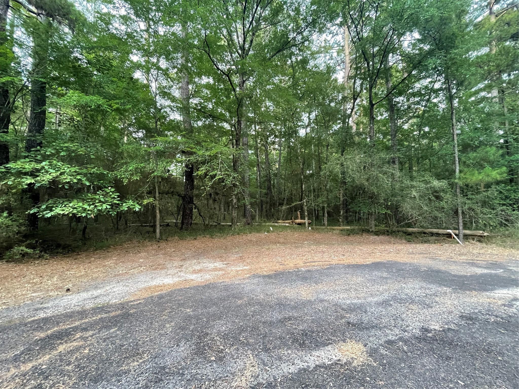 Image 2: No back neighbors and the lot(s) are sold together