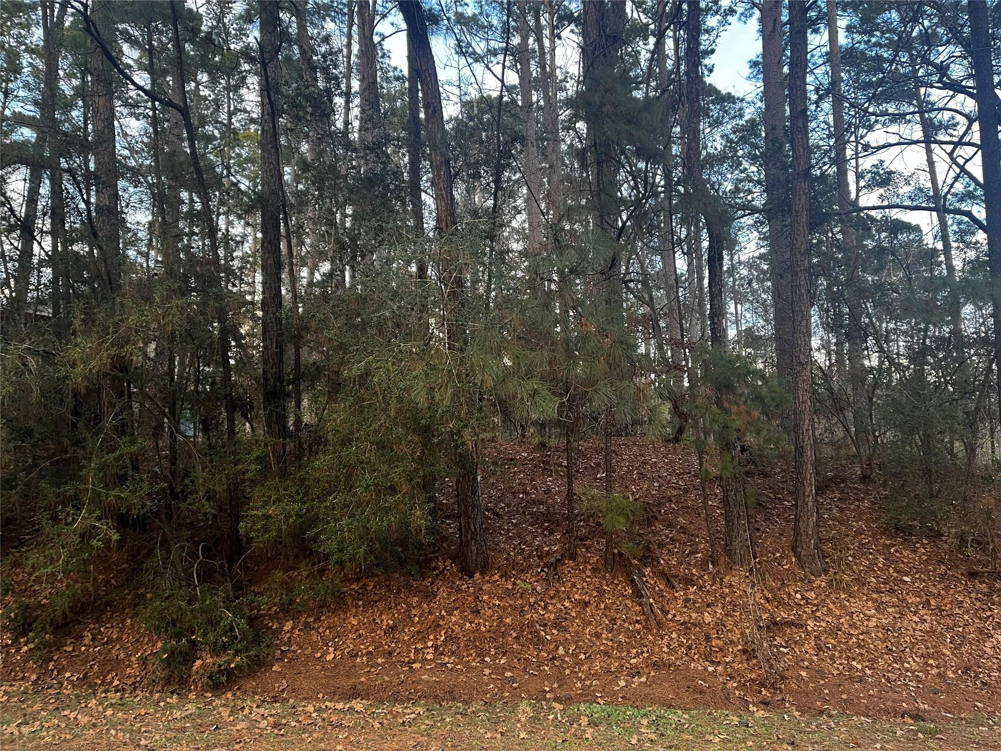 Image 1: 26 Sunny Hill Dr