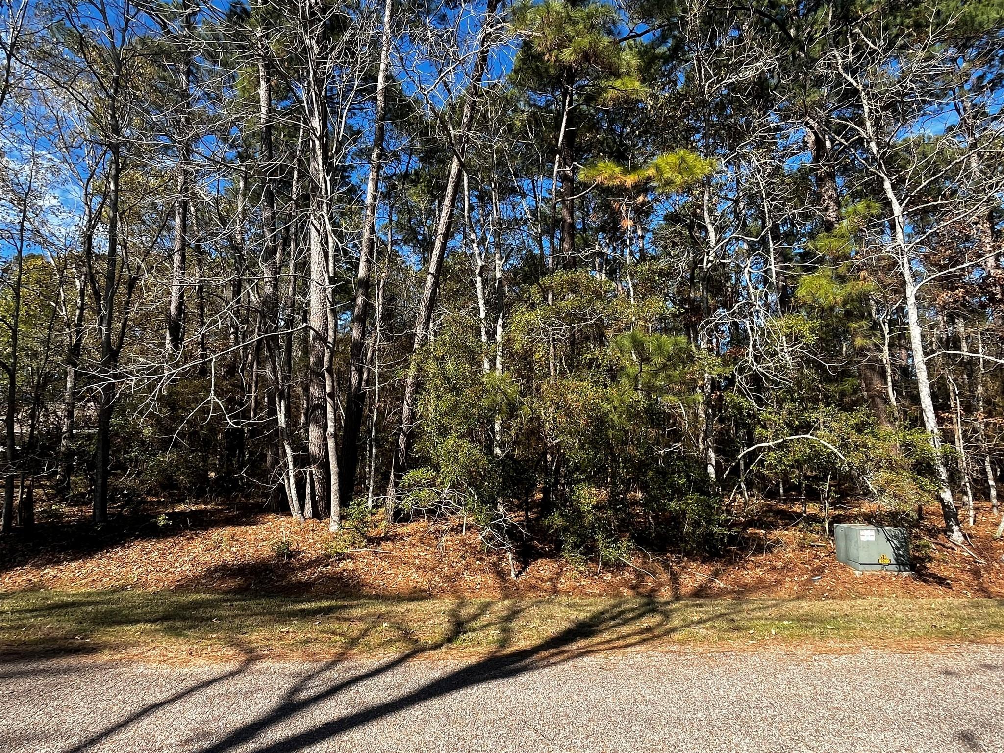 Image 1: 10 Wentworth Lane