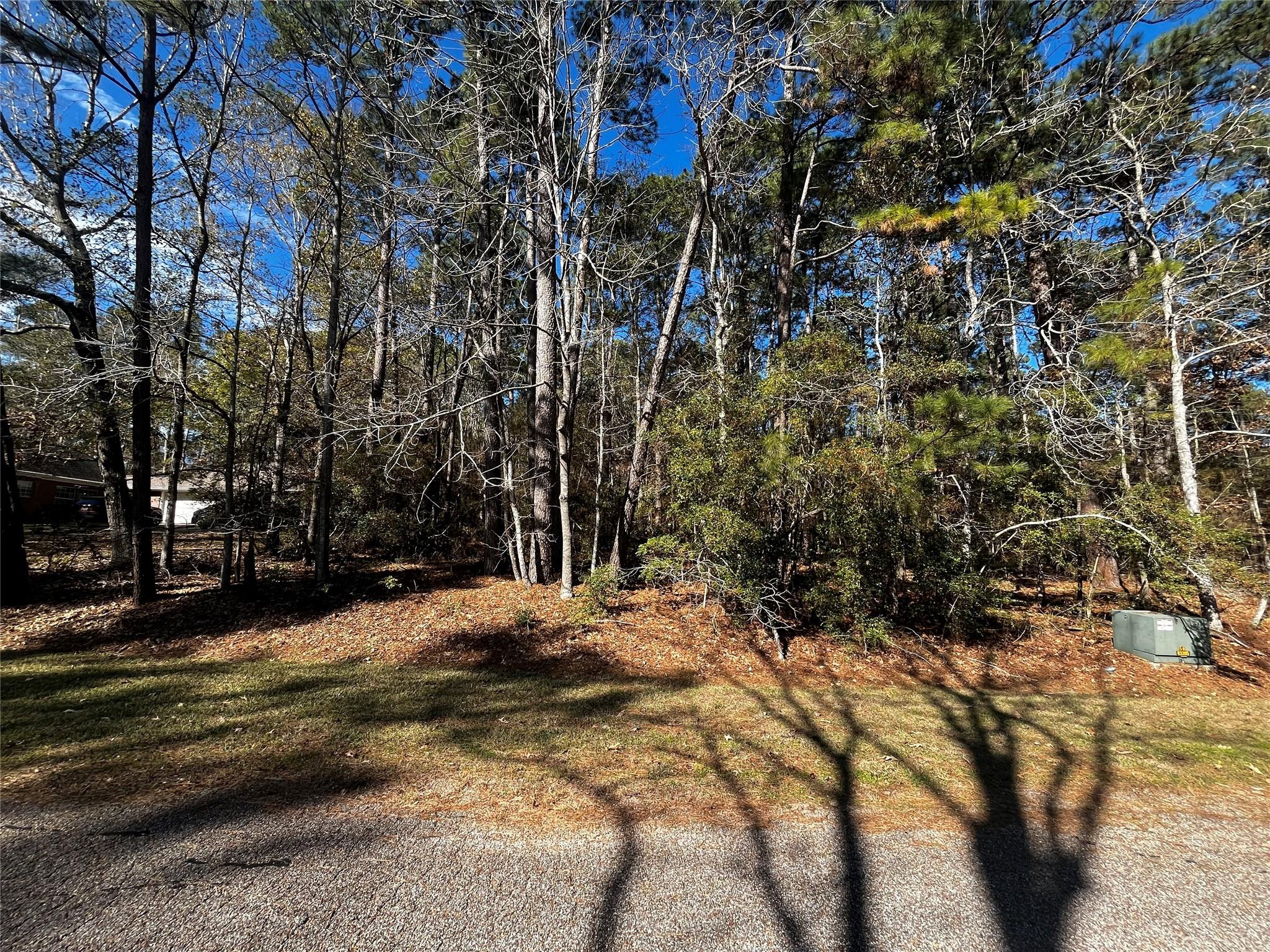 Image 2: 11,099 SF / 0.25 acres