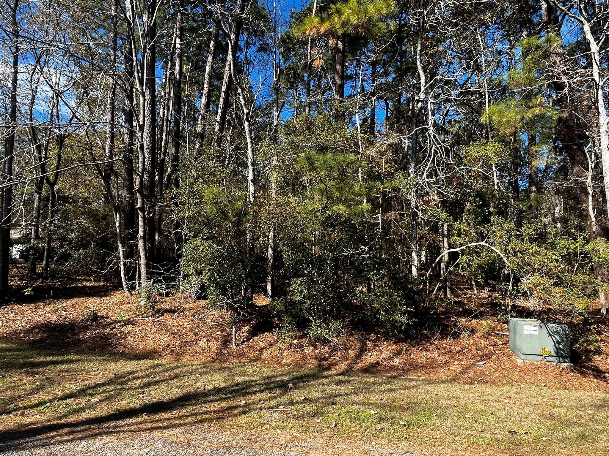 Image 3: Kings Ridge #2 section of Cape Royale