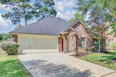 15807 Mossy Shores Court