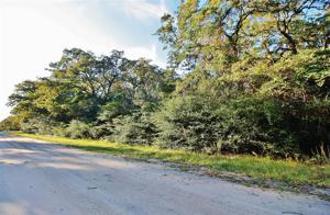 TBD Springview Lane