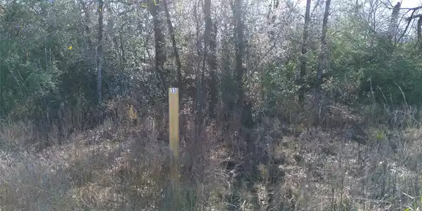 Image 4: Wooded Lot 33