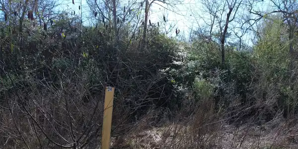 Image 2: Lot 34