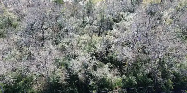 Image 4: Lot 34 Overhead View