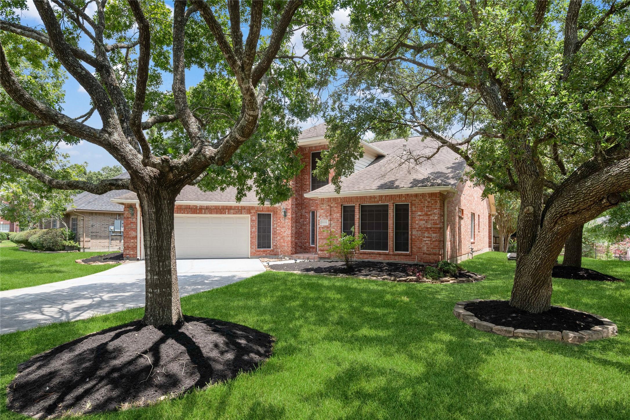 Image 2: Beautiful oak trees