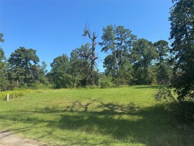 00 Trailwood Lane