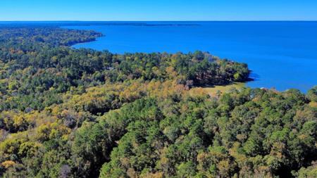 TBD Deer Ridge lot 73 Drive