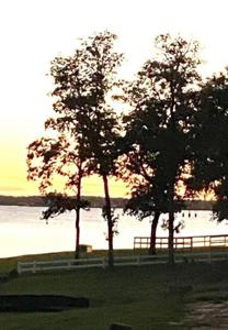LOT 33 Limestone County Road 902