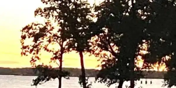 LOT 33 Limestone County Road 902