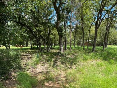 000 Cedar Lane
