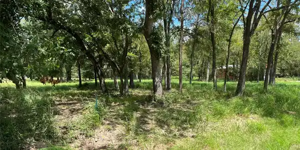 000 Cedar Lane