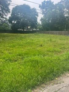 1415 Black Bear Drive