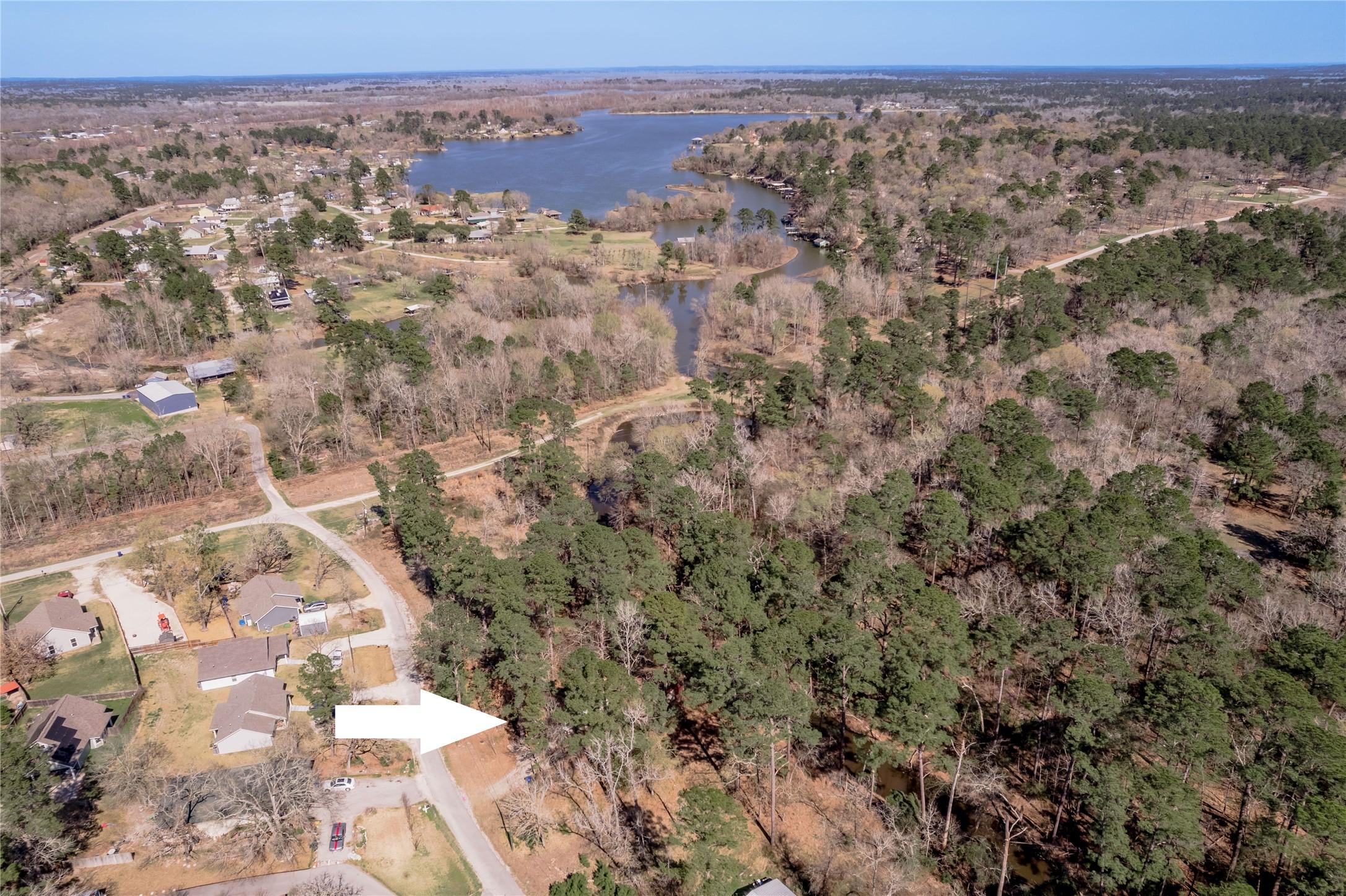 Image 2: This aerial photo showcases a serene, wooded neigh