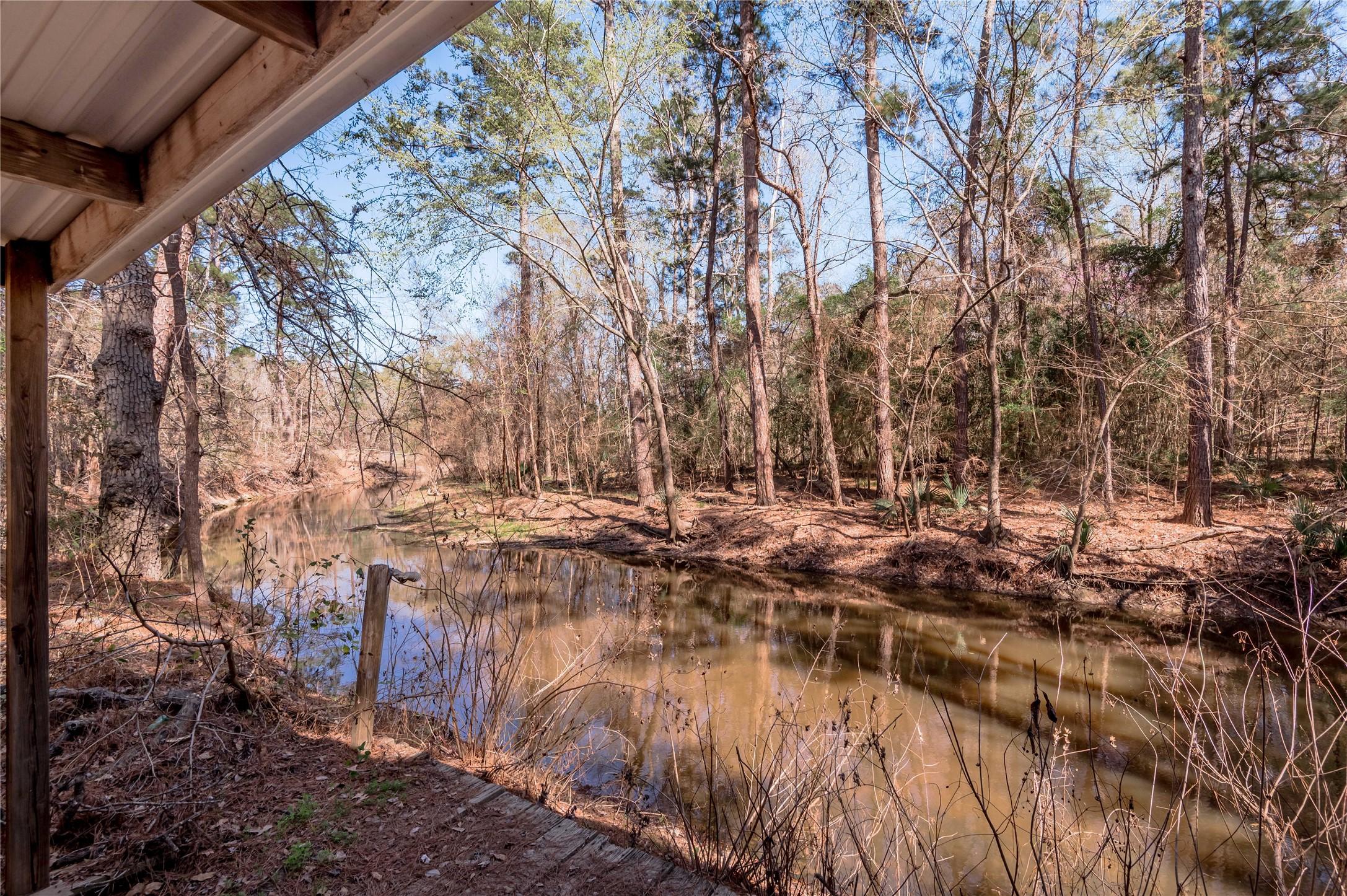 Image 3: A serene, wooded view of Bethy Creek from the cove