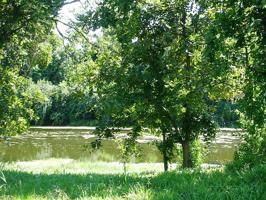 30702 Lower Oxbow Trace Lot 15