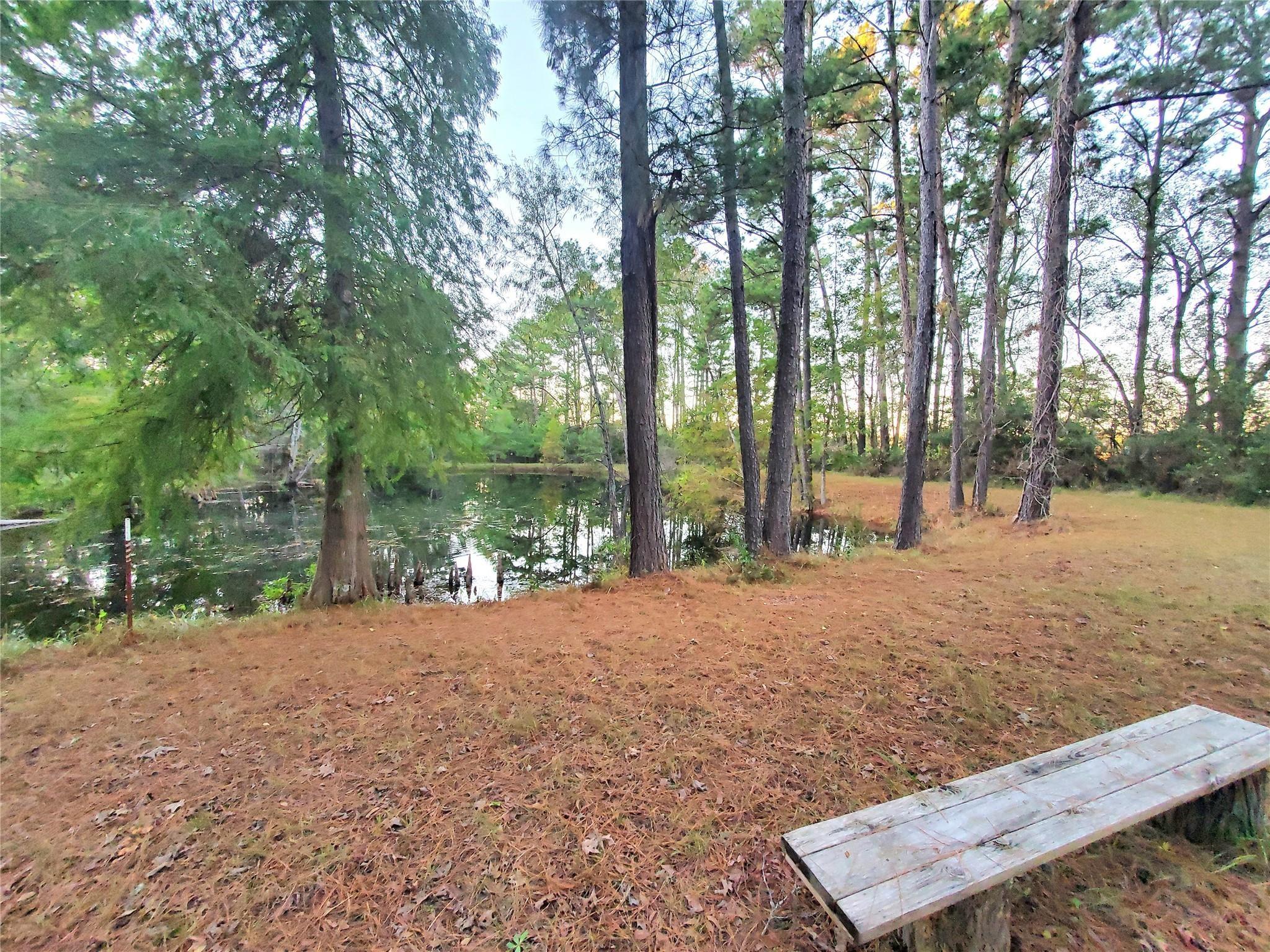 Image 4: Neighborhood Pond