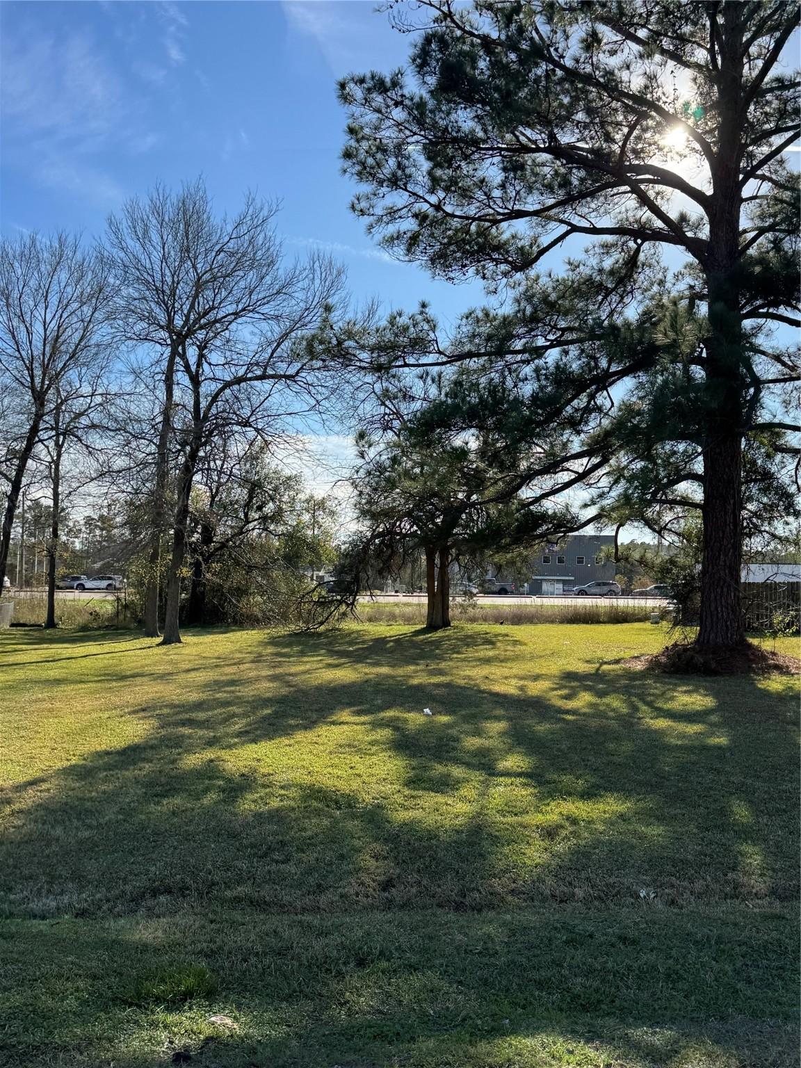 Image 2: Lot is level & already mostly cleared
