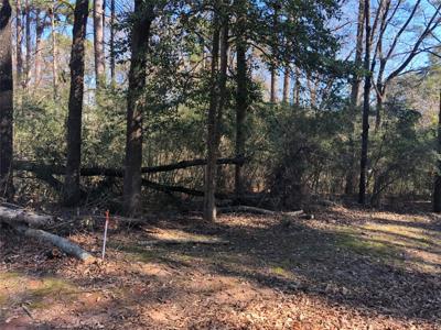 0 Pike Lot 361 Drive