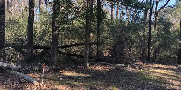 0 Pike Lot 361 Drive
