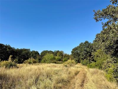 Lots 10-19 and 68-73 County Road 366