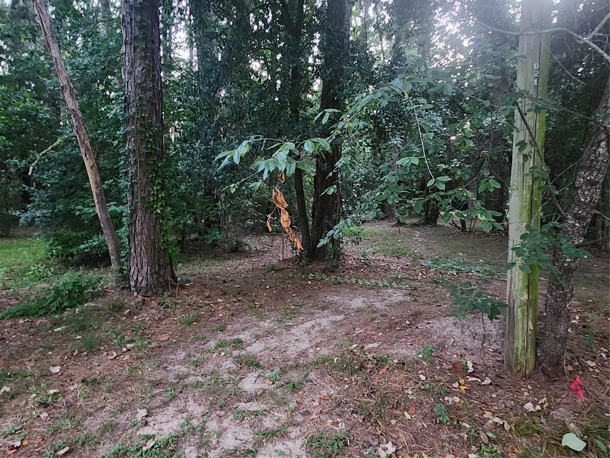 Image 4: The utility pole shows the right boundary area of