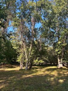 TBD Jo Ann Trail